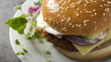 cheeseburger with tomato and mayonnaise sauce