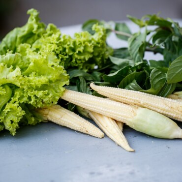 Little corn, lettuce and greens